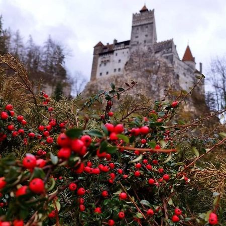 Pensiunea Antonio Bran Bran  Exteriör bild