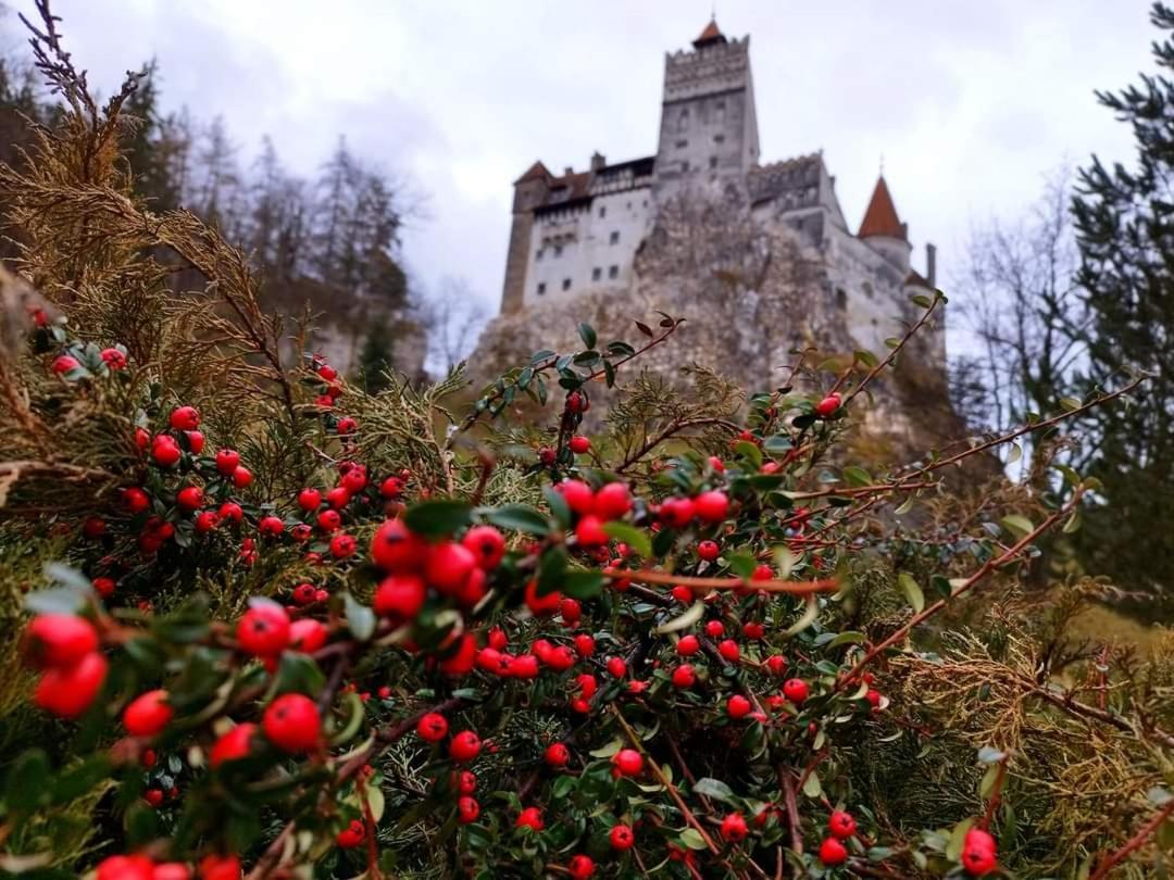 Pensiunea Antonio Bran Bran  Exteriör bild